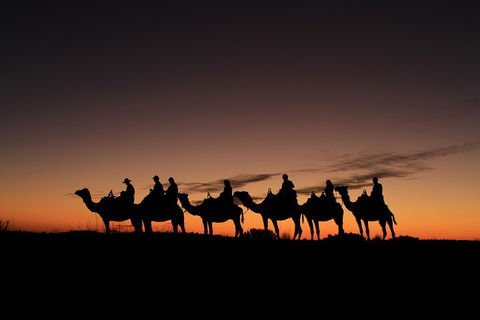 Uluru Small-Group Tour By Camel At Sunrise Or Sunset - 2032 Olympic Games 4