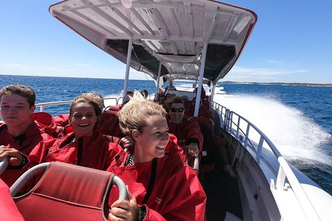 Adventure Rottnest Tour With Ferry & Adventure Cruise From Perth Or Fremantle - 2032 Olympic Games 0