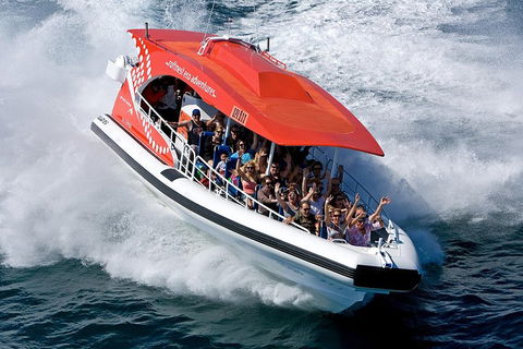 Adventure Rottnest Tour With Ferry & Adventure Cruise From Perth Or Fremantle - 2032 Olympic Games 2