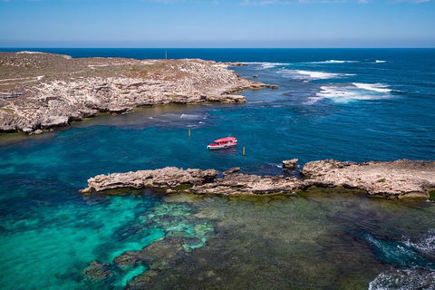 Adventure Rottnest Tour With Ferry & Adventure Cruise From Perth Or Fremantle - 2032 Olympic Games 3