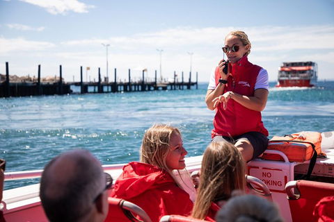Adventure Rottnest Tour With Ferry & Adventure Cruise From Perth Or Fremantle - 2032 Olympic Games 4