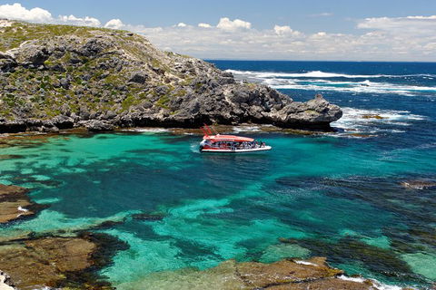 Adventure Rottnest Tour With Ferry & Adventure Cruise From Perth Or Fremantle - 2032 Olympic Games 5