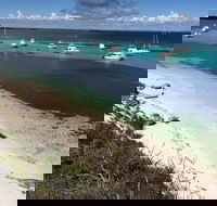Experience Rottnest with Ferry  Bike Hire from Perth or Fremantle - 2032 Olympic Games
