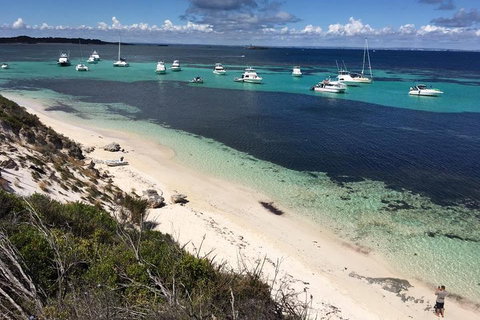 Experience Rottnest With Ferry & Bike Hire From Perth Or Fremantle - 2032 Olympic Games 0