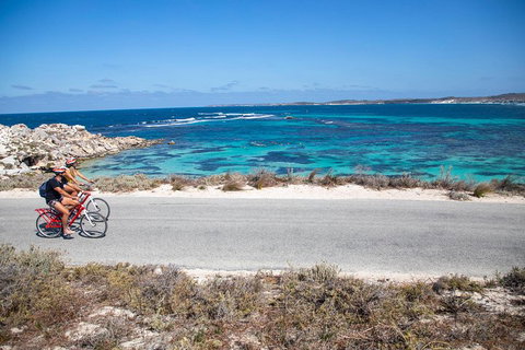 Experience Rottnest With Ferry & Bike Hire From Perth Or Fremantle - 2032 Olympic Games 2