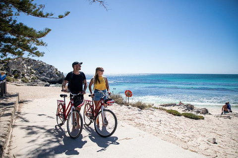 Experience Rottnest With Ferry & Bike Hire From Perth Or Fremantle - 2032 Olympic Games 4