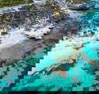Rottnest Island Round-Trip Ferry from Perth or Fremantle - 2032 Olympic Games