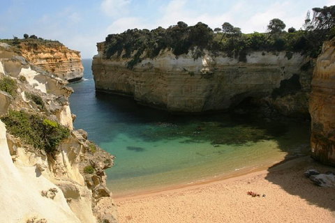 Melbourne Super Saver: Great Ocean Road + Mornington Peninsula + Attraction Pass - 2032 Olympic Games 3