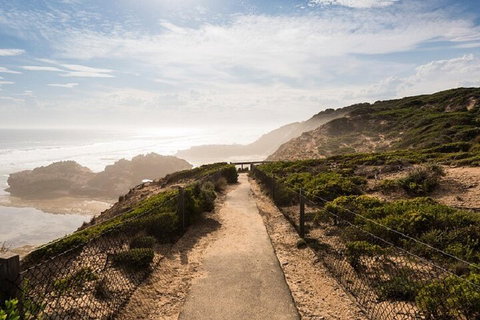 Melbourne Super Saver: Great Ocean Road + Mornington Peninsula + Attraction Pass - 2032 Olympic Games 4