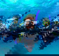 Great Barrier Reef Diving and Snorkeling Cruise from Cairns - 2032 Olympic Games