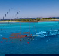Ocean Free Green Island  Great Barrier Reef Snorkel Cruise Cairns 25 guests - 2032 Olympic Games