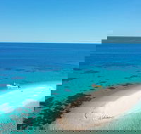 Ocean Safari Great Barrier Reef Experience in Cape Tribulation - 2032 Olympic Games