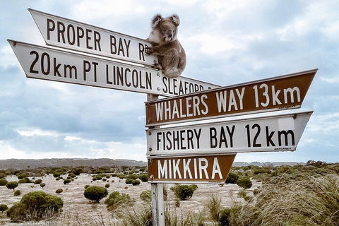 One Day Port Lincoln Tour - Tasting Eyre - 2032 Olympic Games 2