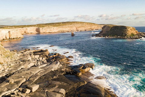 One Day Port Lincoln Tour - Tasting Eyre - 2032 Olympic Games 3