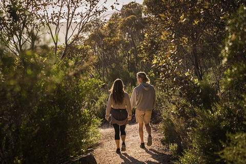 One Day Port Lincoln Tour - Tasting Eyre - 2032 Olympic Games 5
