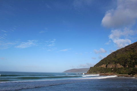 Private Great Ocean Road Day Tour With Early Departure & Early Return (11 Hours) - 2032 Olympic Games 3