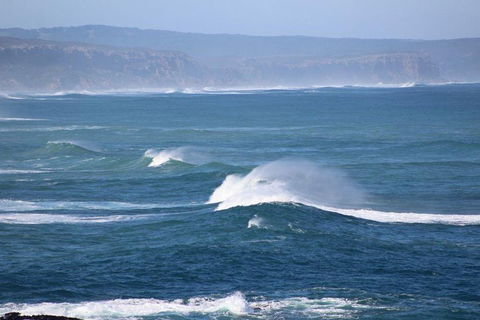 Private Great Ocean Road Day Tour With Early Departure & Early Return (11 Hours) - 2032 Olympic Games 5