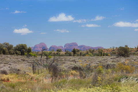 Overnight Uluru (Ayers Rock) Small-Group Camping Tour - 2032 Olympic Games 0