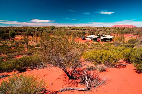 Overnight Uluru (Ayers Rock) Small-Group Camping Tour - 2032 Olympic Games 2