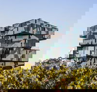 Small Group McLaren Vale and The Cube Experience - 2032 Olympic Games