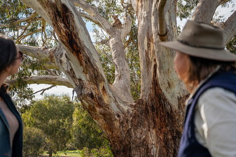Full Day Flinders Chase Tour From Kangaroo Island - 2032 Olympic Games 5