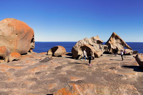 Full-Day Kangaroo Island Experience Departing From Kangaroo Island - 2032 Olympic Games 4