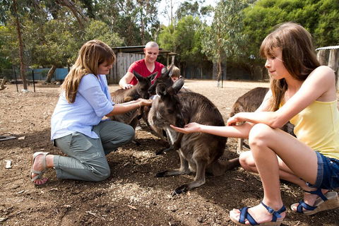 Full-Day Kangaroo Island Experience Departing From Kangaroo Island - 2032 Olympic Games 5