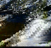 Cradle Mountain Day Tour from Launceston Including Lunch - 2032 Olympic Games