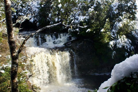 Cradle Mountain Park Explorer Guided Tour - 2032 Olympic Games 4