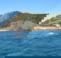 Kayaking with Dolphins in Byron Bay Guided Tour - 2032 Olympic Games