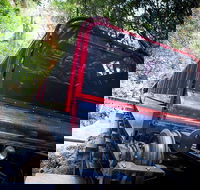 Blue Mountains Hop-on Hop-off Tour with Optional Scenic World Rides - 2032 Olympic Games