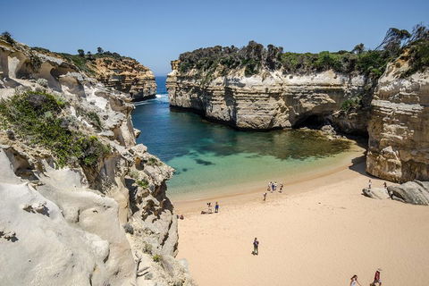 Great Ocean Road Reverse Itinerary With 12 Apostles From Melbourne - 2032 Olympic Games 5