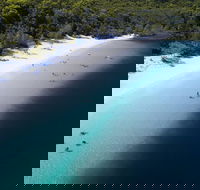 All-Inclusive Fraser Island Day Tour - 2032 Olympic Games