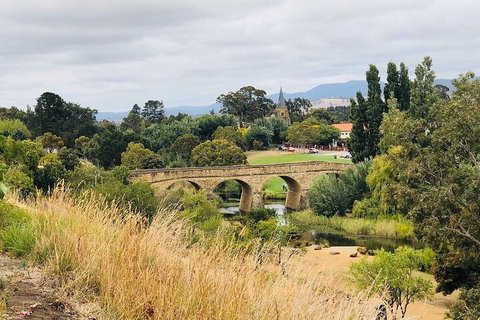 Day Tour In Mt. Field, Mt. Wellington, Bonorong Wildlife Sanctuary And Richmond - 2032 Olympic Games 3