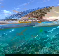 Great Barrier Reef Scenic Flight and Ocean Rafting Whitehaven Beach Day Trip - 2032 Olympic Games