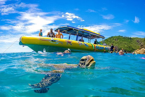 Great Barrier Reef Scenic Flight And Ocean Rafting Whitehaven Beach Day Trip - 2032 Olympic Games 1