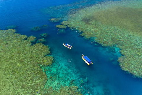 Great Barrier Reef Scenic Flight And Ocean Rafting Whitehaven Beach Day Trip - 2032 Olympic Games 4