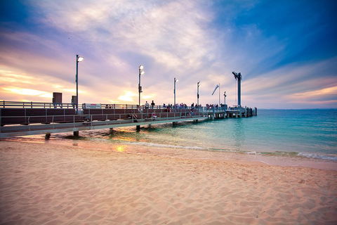 Tangalooma Island Resort Whale Watching Day Cruise With Dolphin Viewing - 2032 Olympic Games 3