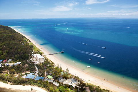 Tangalooma Island Resort Whale Watching Day Cruise With Dolphin Feeding - 2032 Olympic Games 2