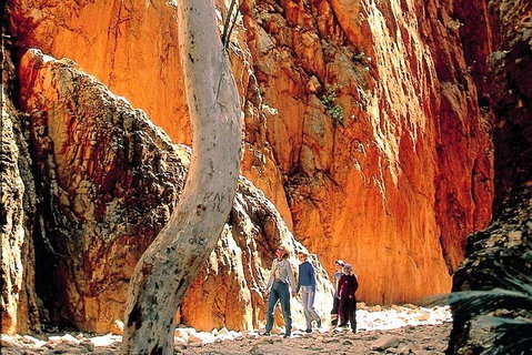 West MacDonnell Ranges Day Trip From Alice Springs - 2032 Olympic Games 3