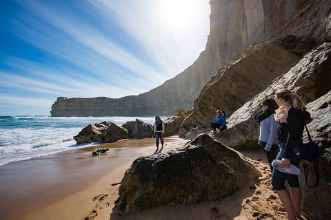 2-Day Melbourne To Adelaide Tour: Great Ocean Road And Grampians One Way Trip - 2032 Olympic Games 1