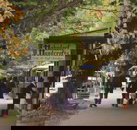Adelaide Highlights Hahndorf  McLaren Vale Wine Tasting and Sightseeing Tour - 2032 Olympic Games