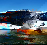 Express Jet Boat Ride  Aquaduck - 2032 Olympic Games