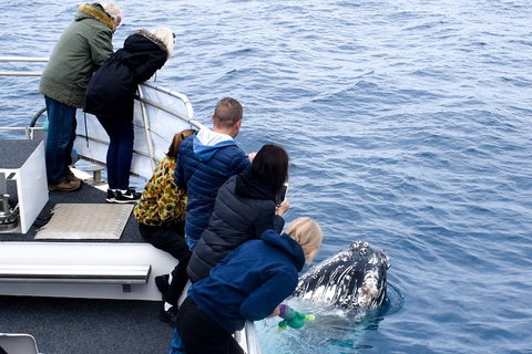 Phillip Island Whale Watching Tour - 2032 Olympic Games 1