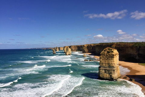 Great Ocean Road Reverse Itinerary Tour - 2032 Olympic Games 4