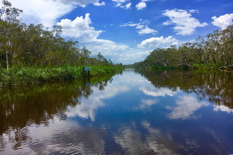 Noosa Everglades Serenity Cruise & Highlights Tour Inc. Lunch & Cruise - 2032 Olympic Games 0