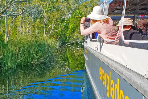 Noosa Everglades Serenity Cruise & Highlights Tour Inc. Lunch & Cruise - 2032 Olympic Games 2