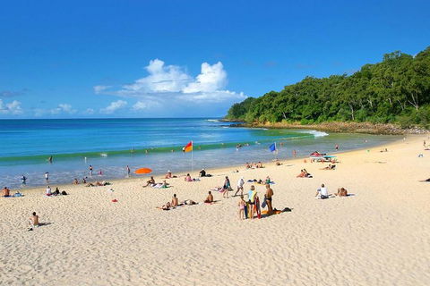 Noosa Everglades Serenity Cruise & Highlights Tour Inc. Lunch & Cruise - 2032 Olympic Games 4