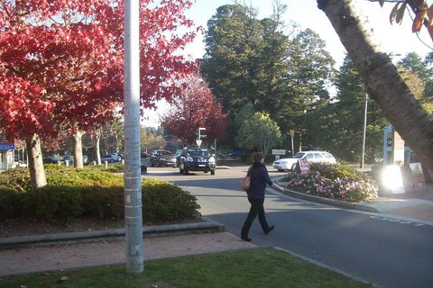 PRIVATE All-Day Blue Mountains Tour With Professional Guide For Up To 4 People - 2032 Olympic Games 1
