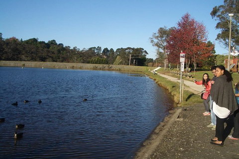 PRIVATE All-Day Blue Mountains Tour With Professional Guide For Up To 4 People - 2032 Olympic Games 2